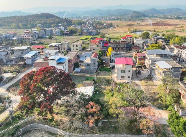 美丽乡村 生态  乡村振兴  人居环境 道县