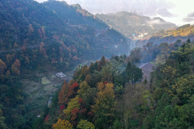 湖南，湘西，龙山，乡村，初冬，枫，美景
