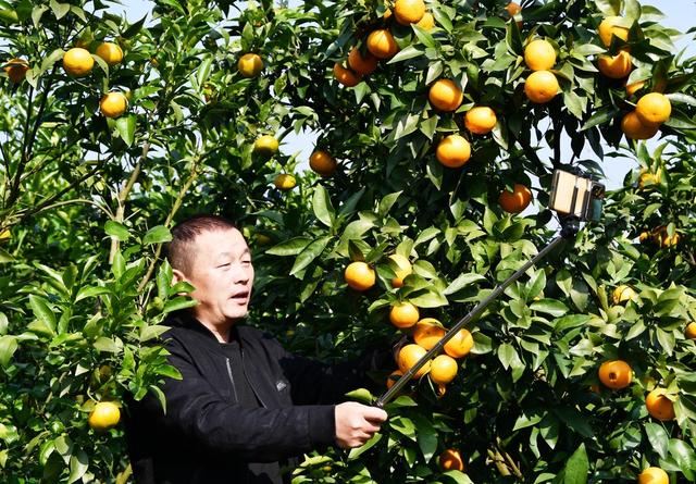   田间地头  助农忙