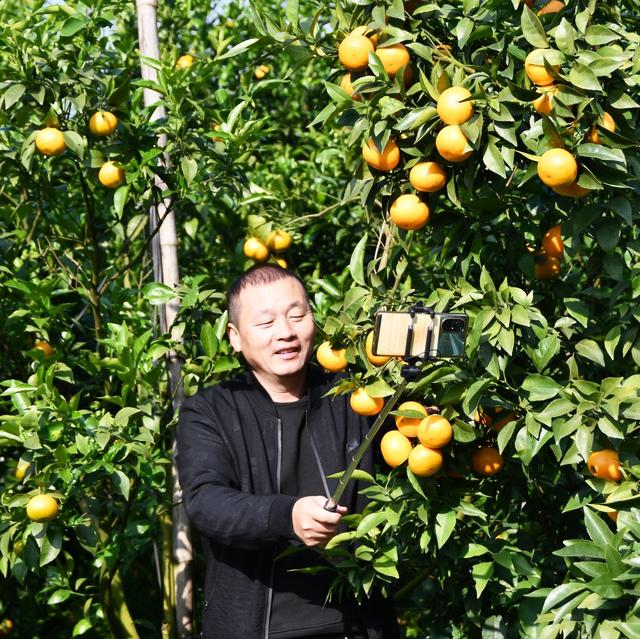   田间地头  助农忙