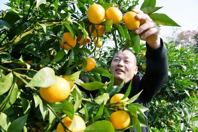   田间地头  助农忙