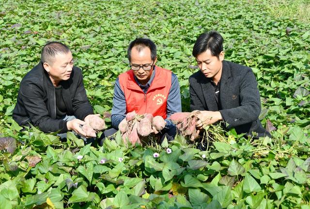 党员服务  一线助农