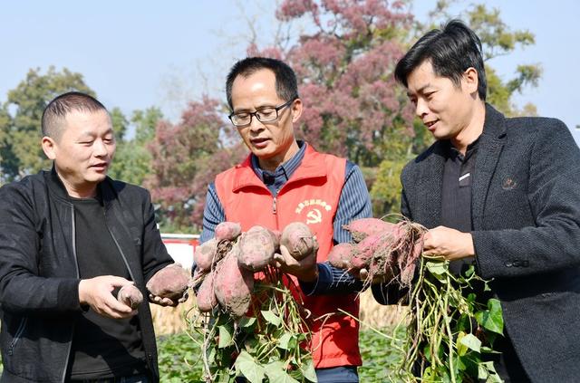 党员服务  一线助农