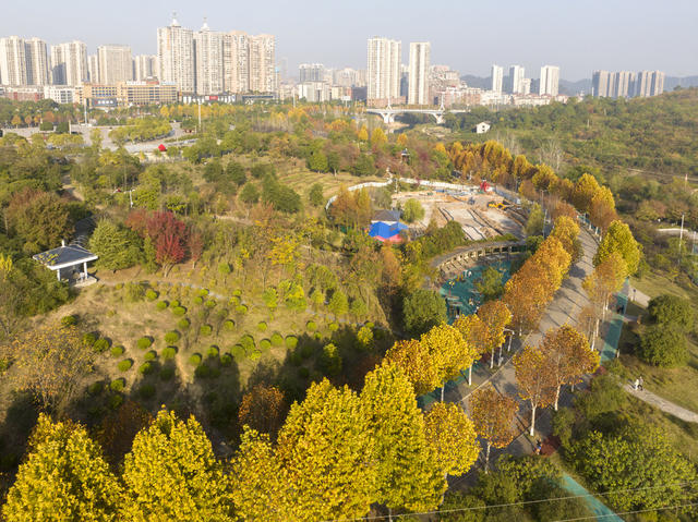 娄星区,冬景如画,色彩斑斓,层林尽染,孙水公园