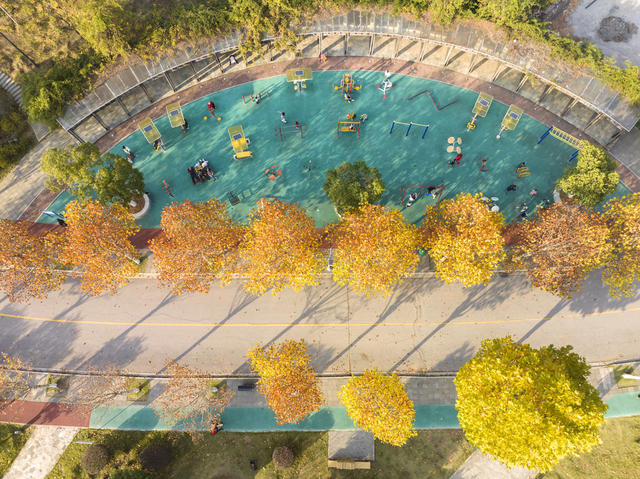 娄星区,冬景如画,色彩斑斓,层林尽染,孙水公园