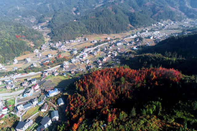湖南桂东 溪源村 画 生态