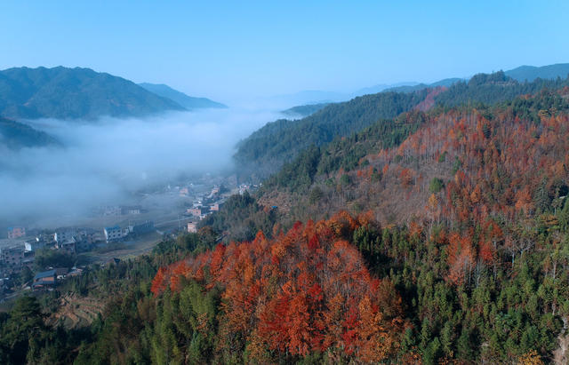 湖南桂东 溪源村 画 生态