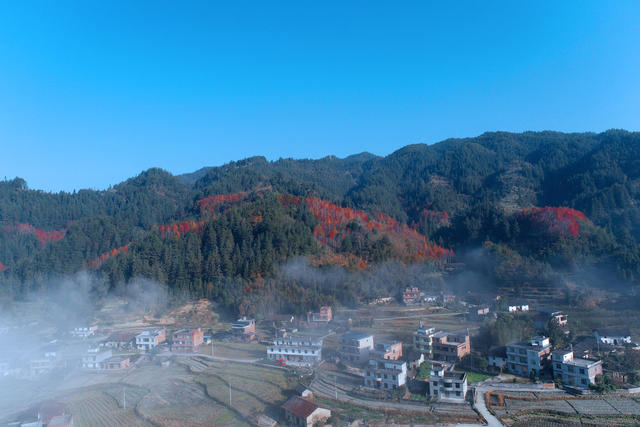 湖南桂东 溪源村 画 生态