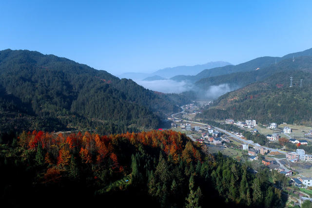 湖南桂东 溪源村 画 生态