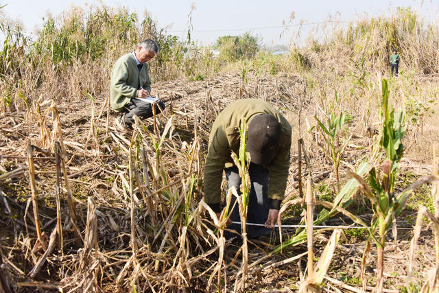 村集体经济  三资清理  老党员  老干部  义务服务