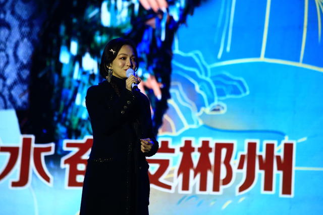 湖南  郴州  张韶涵   明星演唱会