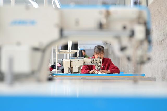 项目  箱包  企业  车间  乡村振兴