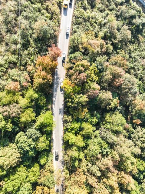 冬色 彩色 道县  风景  生态