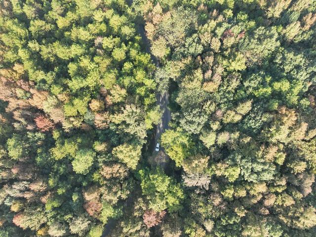 冬色 彩色 道县  风景  生态