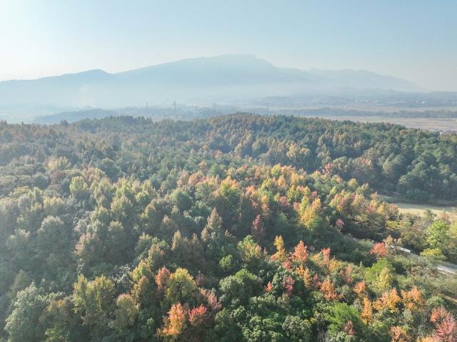冬色 彩色 道县  风景  生态