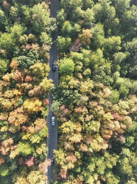 冬色 彩色 道县  风景  生态