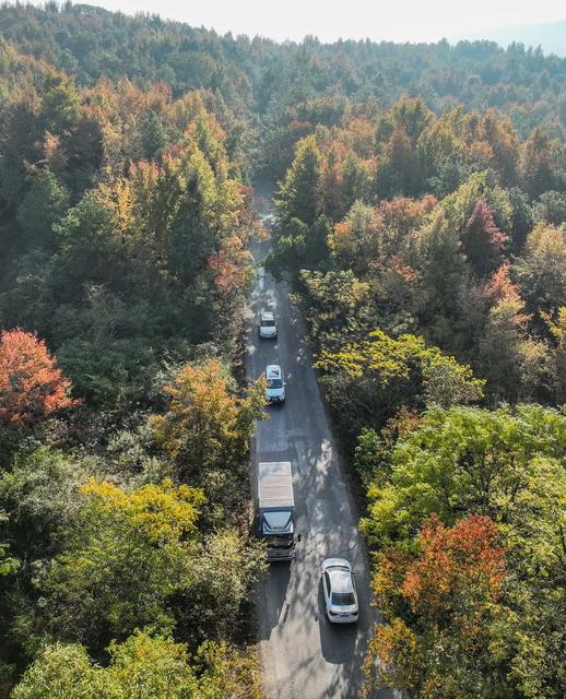 冬色 彩色 道县  风景  生态