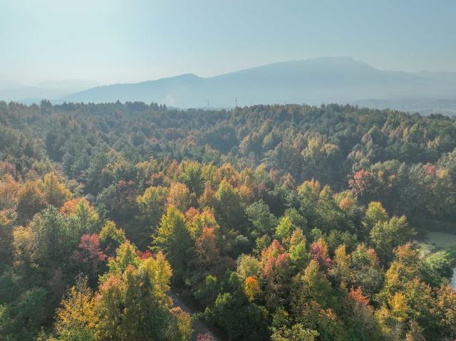 冬色 彩色 道县  风景  生态