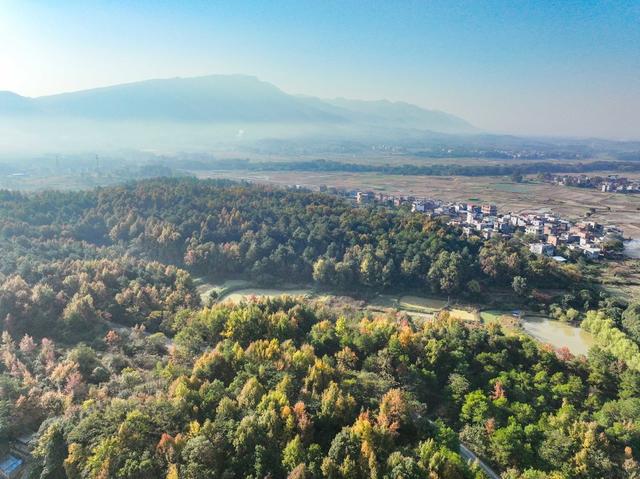 冬色 彩色 道县  风景  生态