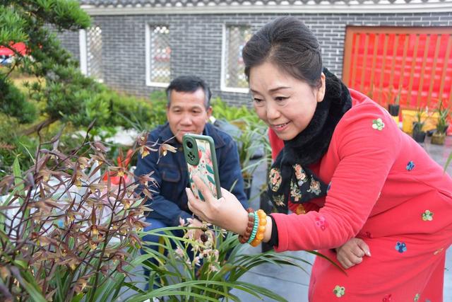 寒兰幽香