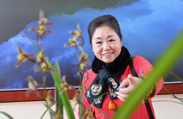 寒兰幽香