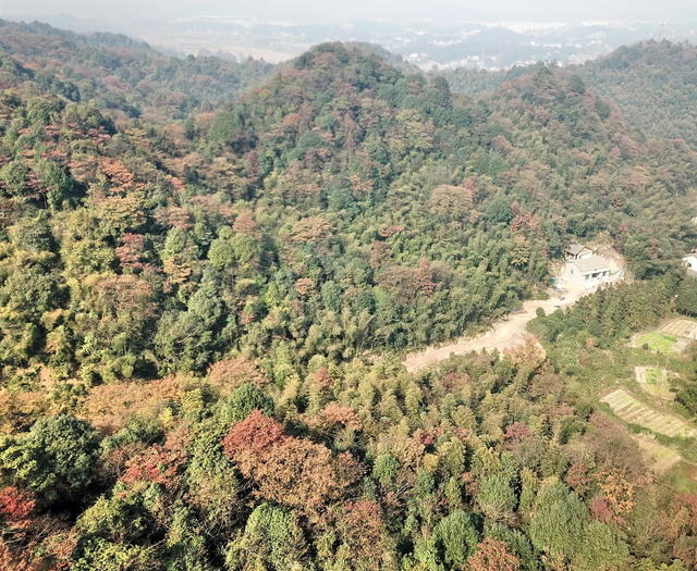 美丽囗寨子崙口景色