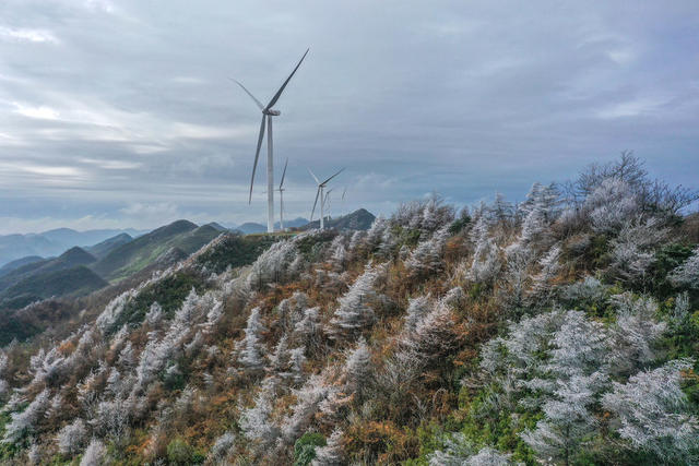 湖南 湘西 龙山 首场 雾凇 景观 风力 发电场 装扮 妖娆 