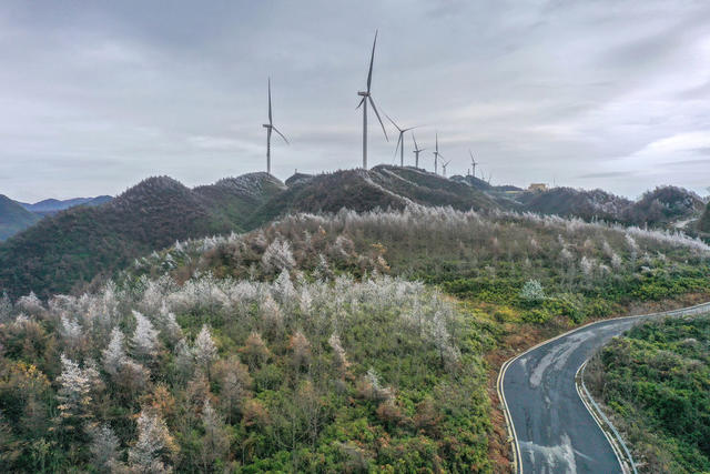 湖南 湘西 龙山 首场 雾凇 景观 风力 发电场 装扮 妖娆 