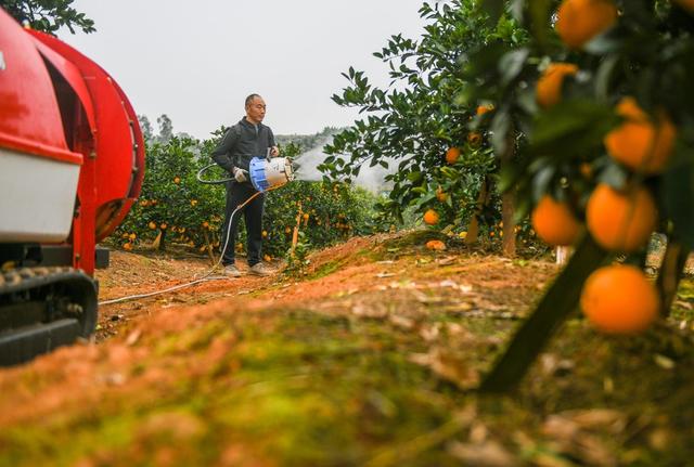 农机 培训 机械化 推广  道县