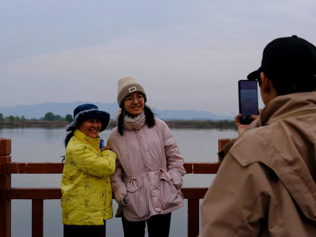 候鸟，采桑湖，越冬