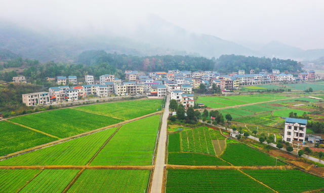   风景  产业  美丽乡村