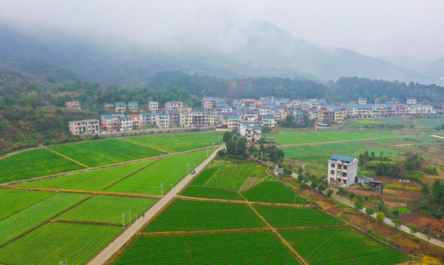   风景  产业  美丽乡村