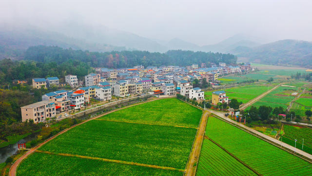   风景  产业  美丽乡村