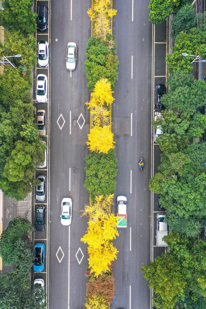 湖南 湘西 汽车  街道  树木 创建 文明城市  老旧街道  升级改造  绿化 美化 亮化 居住环境 