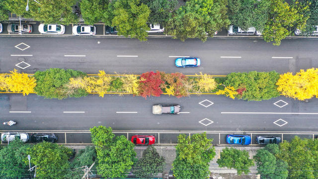 湖南 湘西 汽车  街道  树木 创建 文明城市  老旧街道  升级改造  绿化 美化 亮化 居住环境 