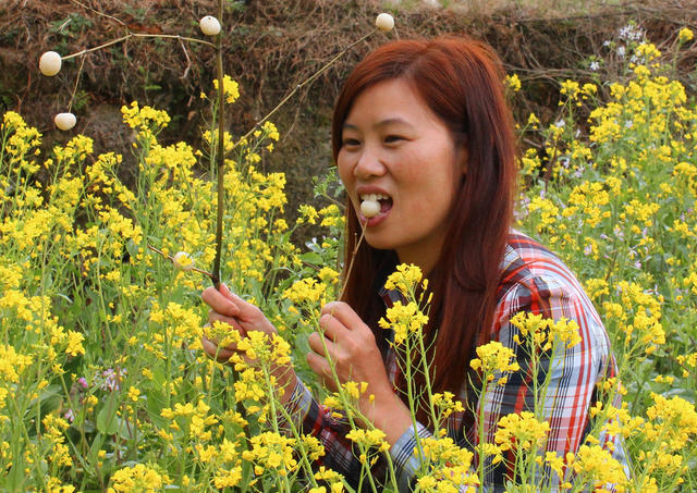 湖南桂东 民俗节日 麻雀节