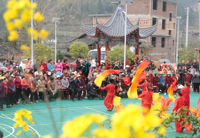 湖南桂东 民俗节日 麻雀节