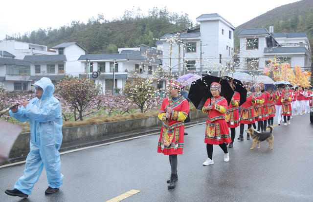 湖南桂东 民俗节日 麻雀节
