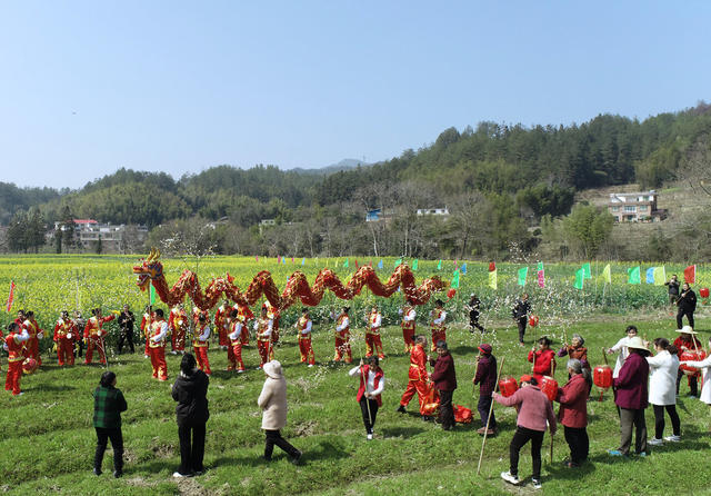 湖南桂东 民俗节日 麻雀节