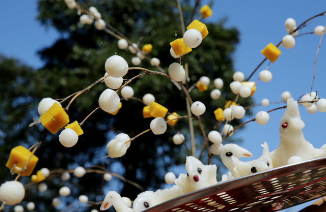 湖南桂东 民俗节日 麻雀节