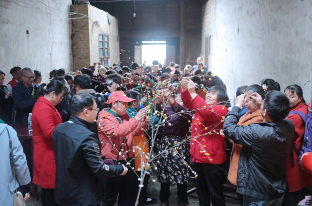 湖南桂东 民俗节日 麻雀节