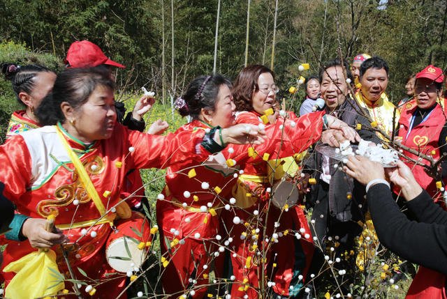 湖南桂东 民俗节日 麻雀节