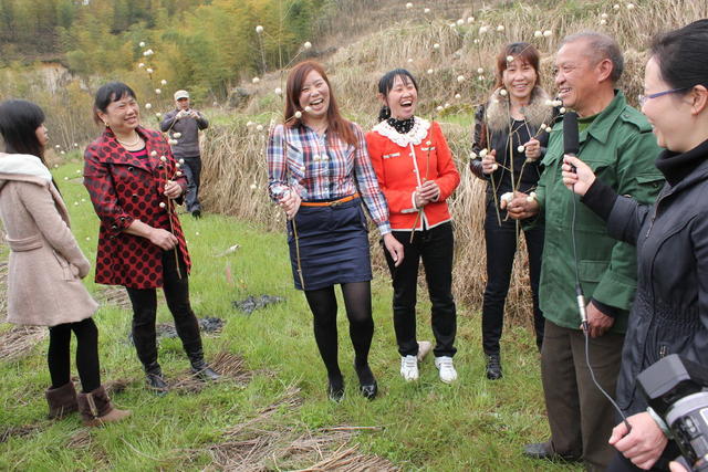 湖南桂东 民俗节日 麻雀节