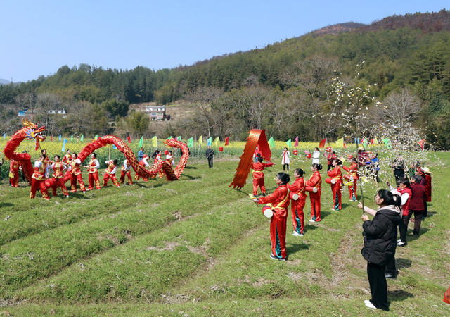 湖南桂东 民俗节日 麻雀节