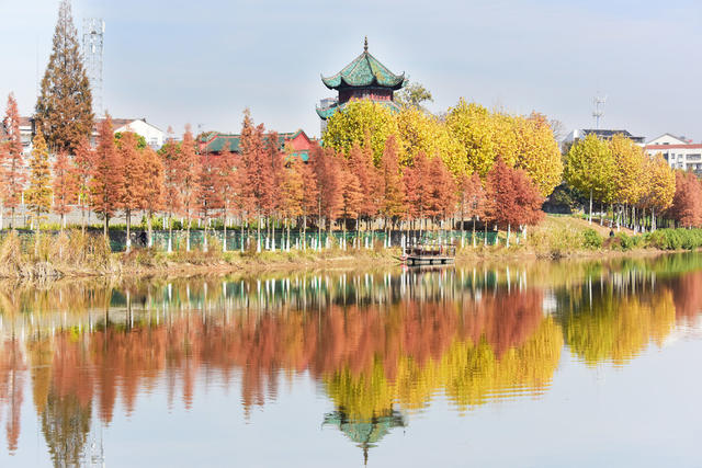 县城  河湖共治  冬日暖阳  水杉  缠绵秋景