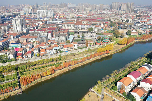 县城  河湖共治  冬日暖阳  水杉  缠绵秋景