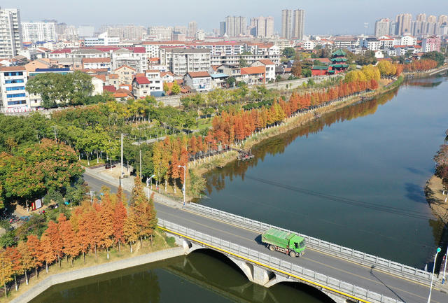 县城  河湖共治  冬日暖阳  水杉  缠绵秋景