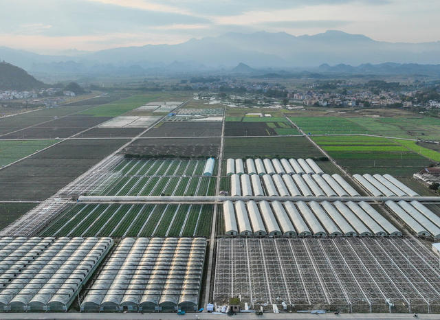 农业 科研  现代 设施 道县 大棚