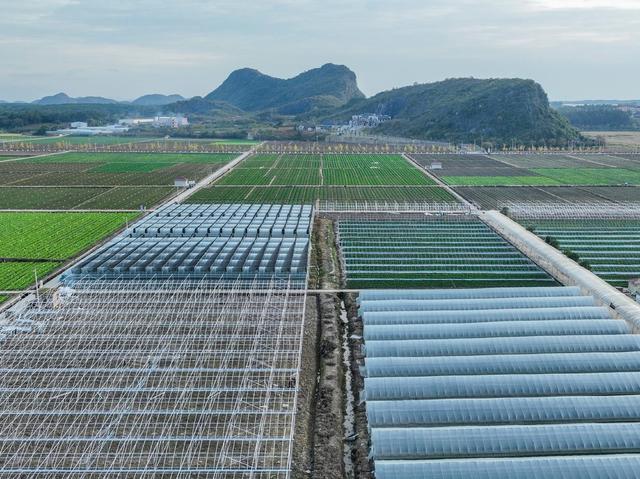 农业 科研  现代 设施 道县 大棚