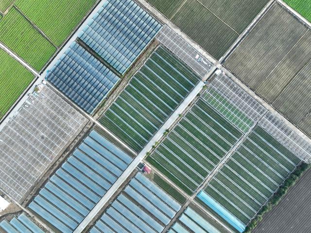 农业 科研  现代 设施 道县 大棚